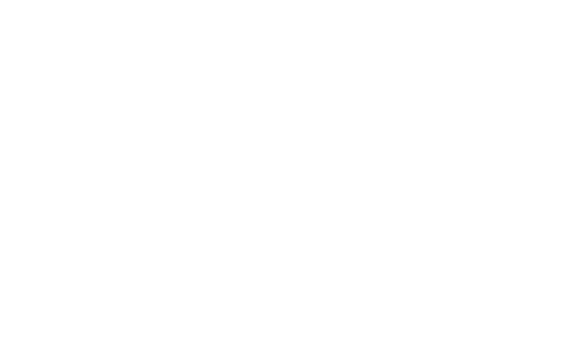 Sleek Auto logo